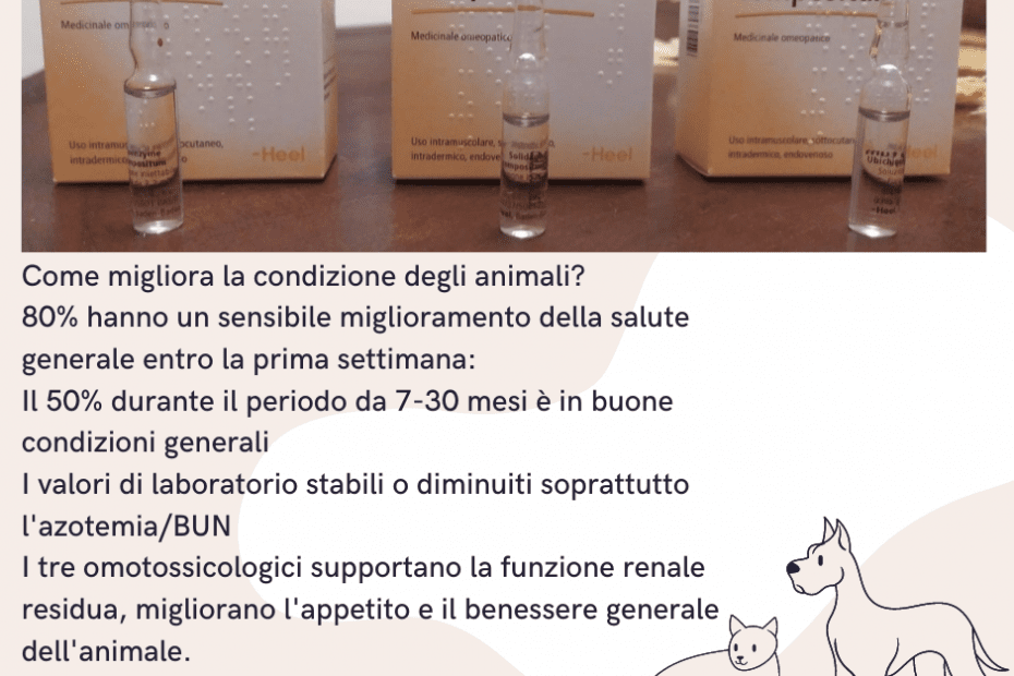 Terapia SUC gatto cane Protocollo