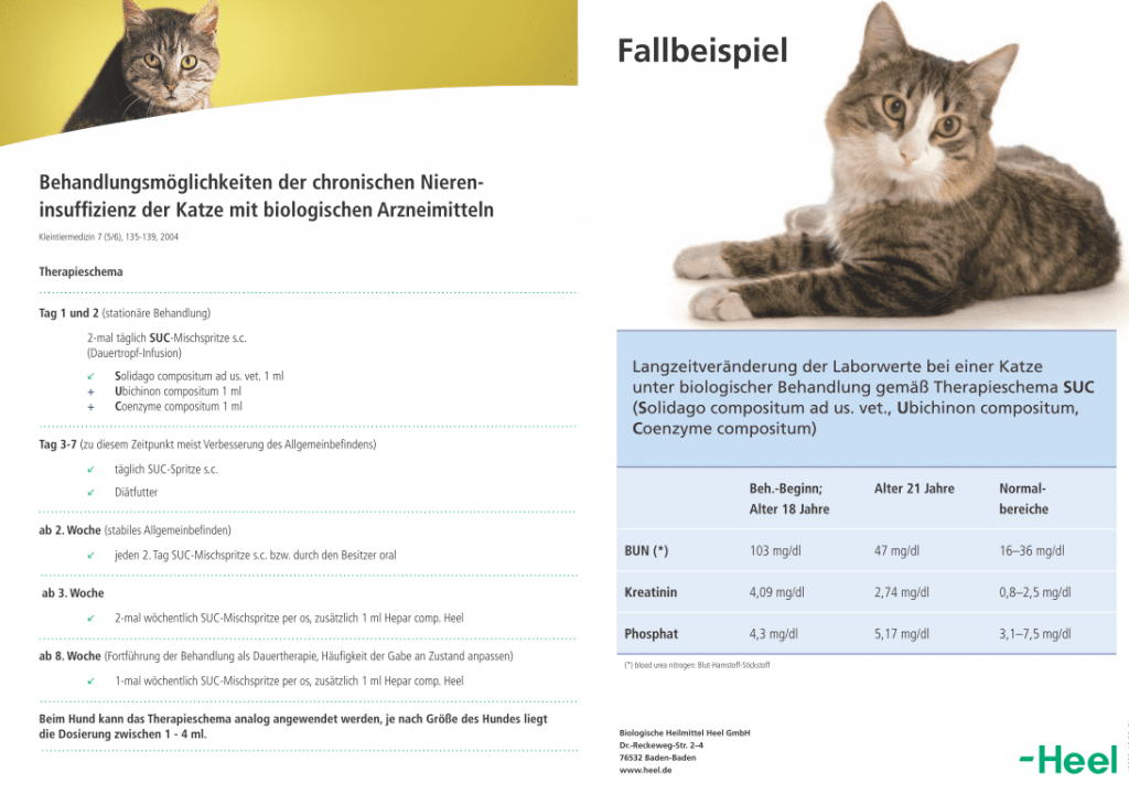 Protocollo Heel IRC gatto cane 2021 Terapia SUC 2 Protocollo Heel IRC gatto cane