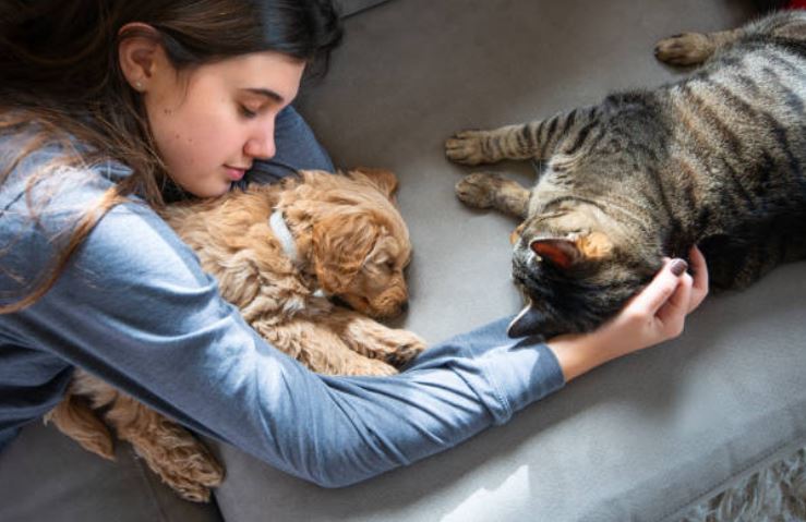 Terapia SUC gatto cane