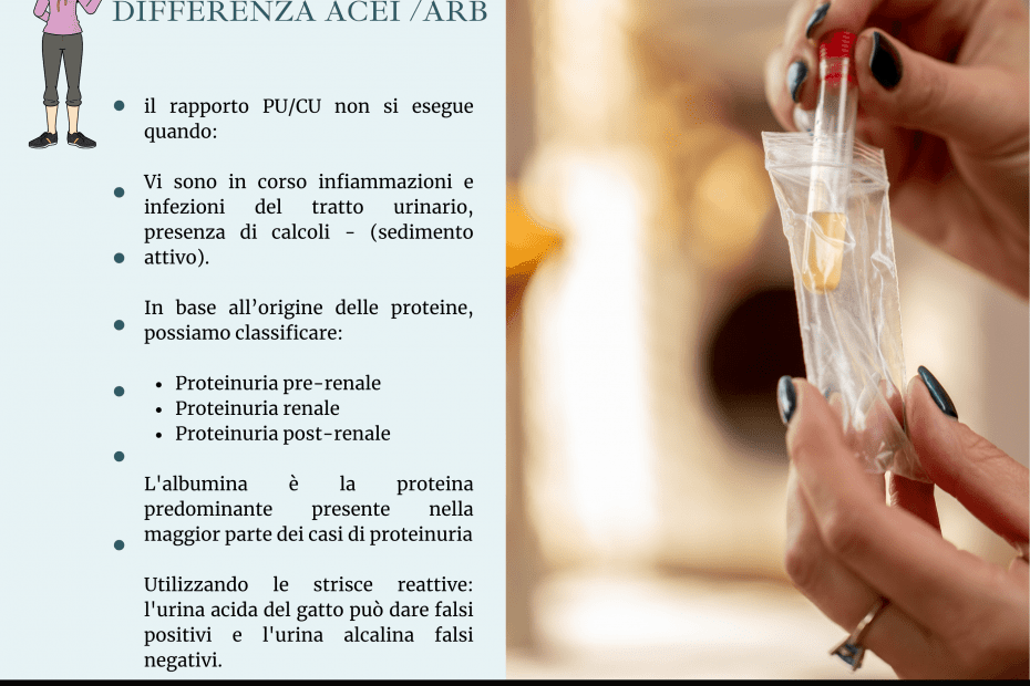 Proteinuria gatto terapia