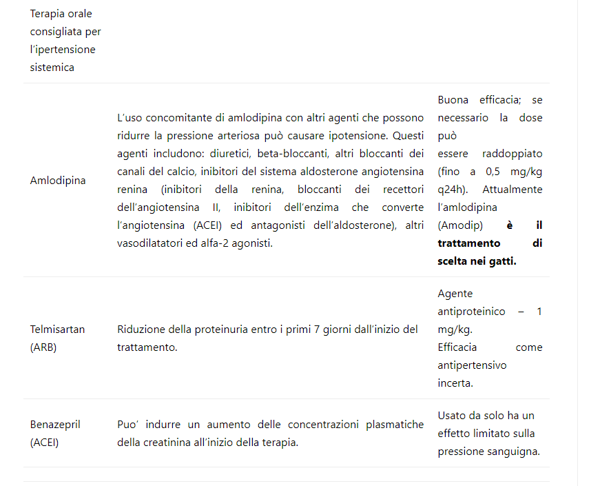 Proteinuria gatto terapia