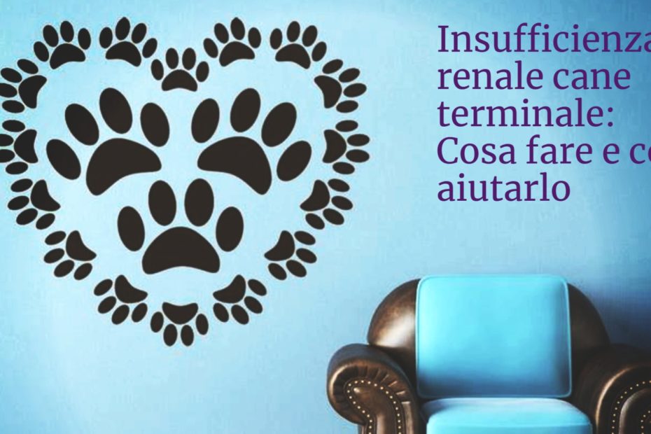 Insufficienza renale cane quanto vive