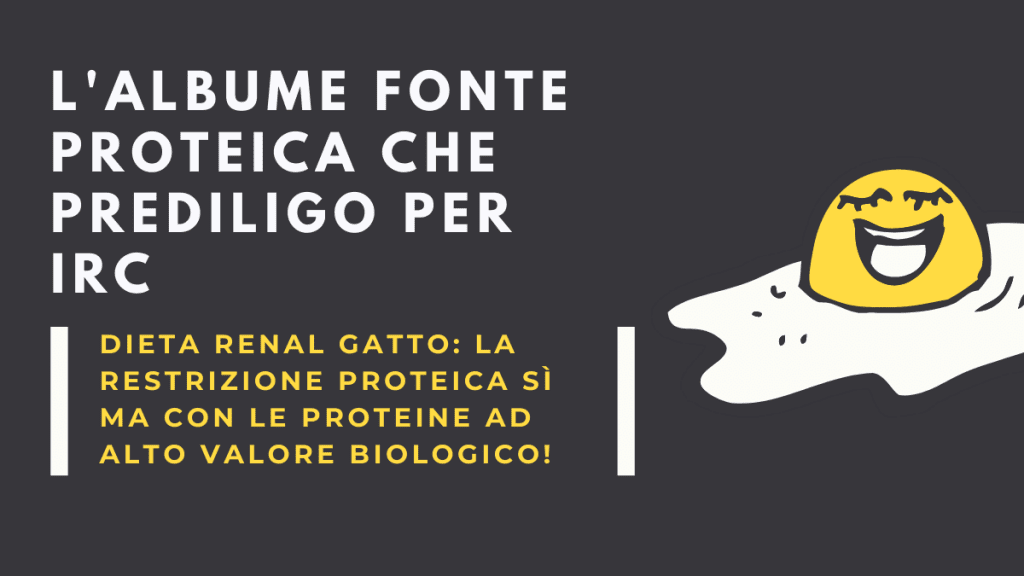 Albume fonte proteica per irc la #1 per il mio gatto! 2 albume fonte proteica per irc