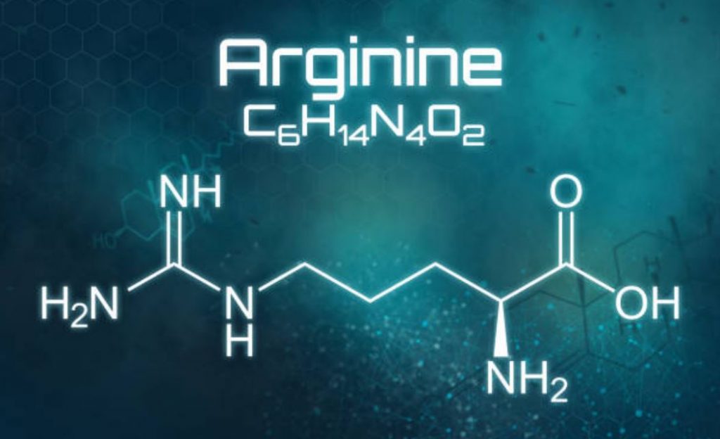 arginina per il cane
