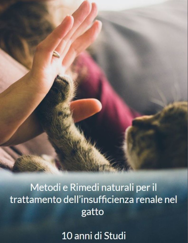Cibo Renal gatto Appetibile esiste? 3 coverircgat