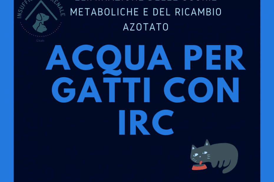Acqua per gatti con irc
