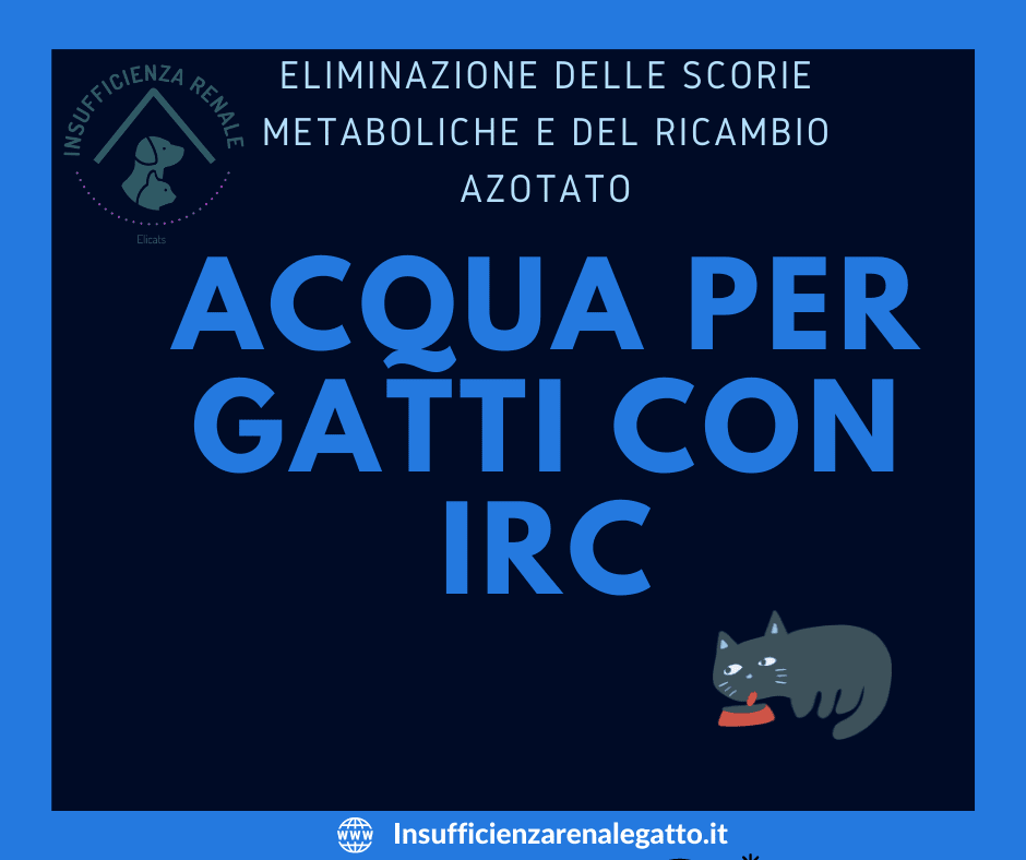 Acqua per gatti con irc