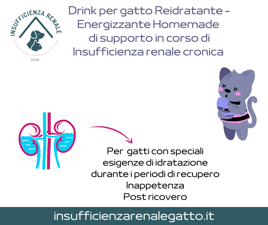 Oralade RF support gatto + 1 Drink energizzante HOMEmade per IRC 3 Oralade RF support gatto 2