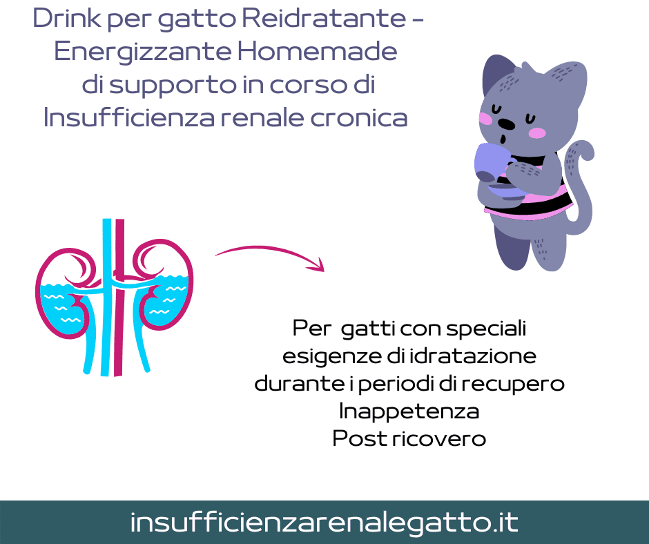 gatto disidratato