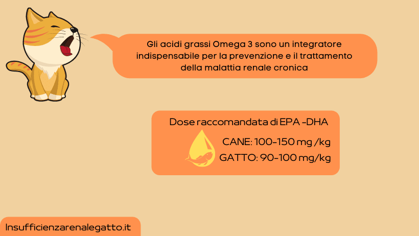 acidi grassi omega gatto cane con insufficienza renale