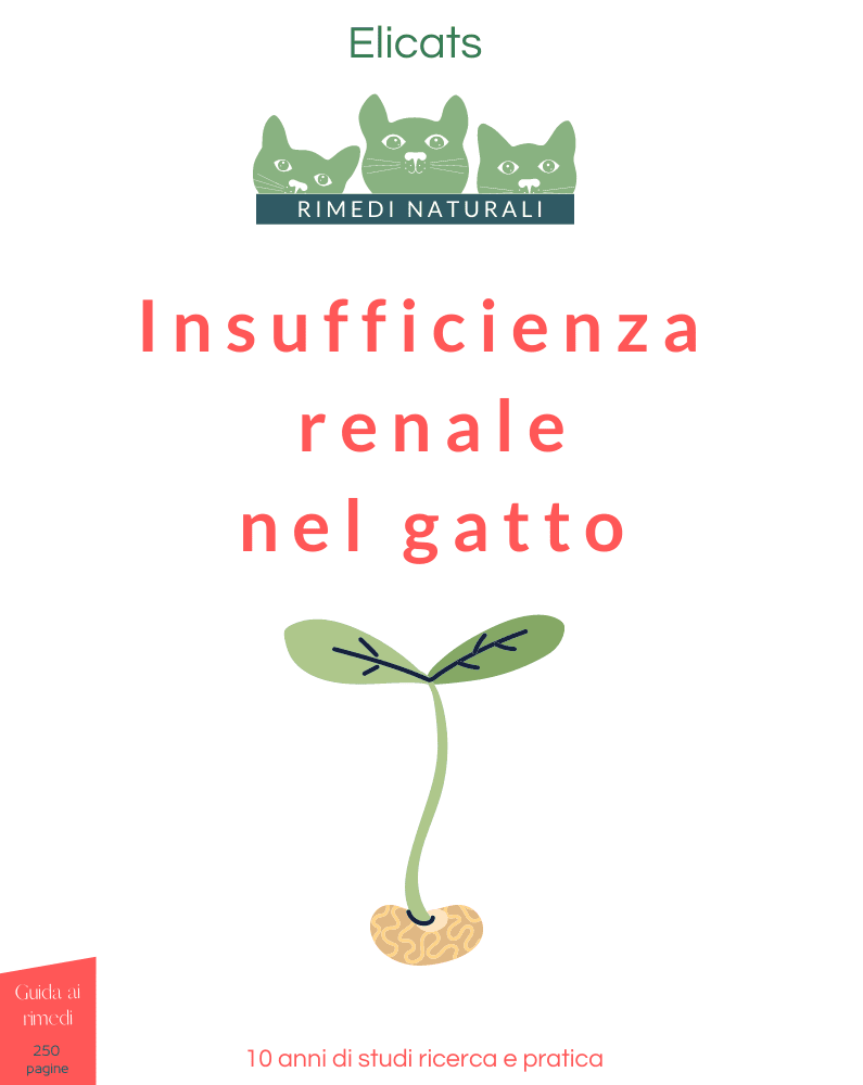 Insufficienza renale nel gatto Rimedi naturali: 10 anni di Studi Ricerca Pratica